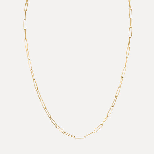 Thin Long Link Necklace