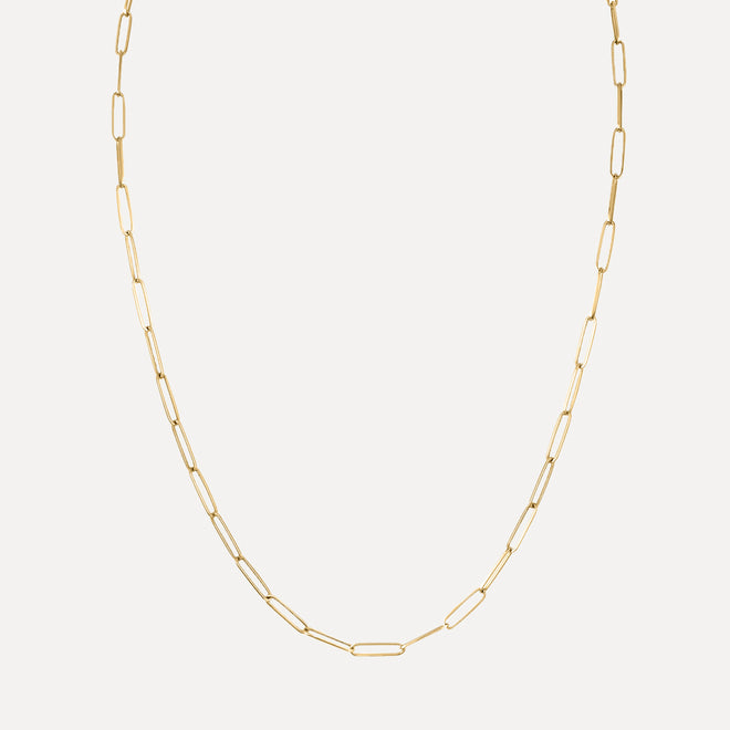 Thin Long Link Necklace