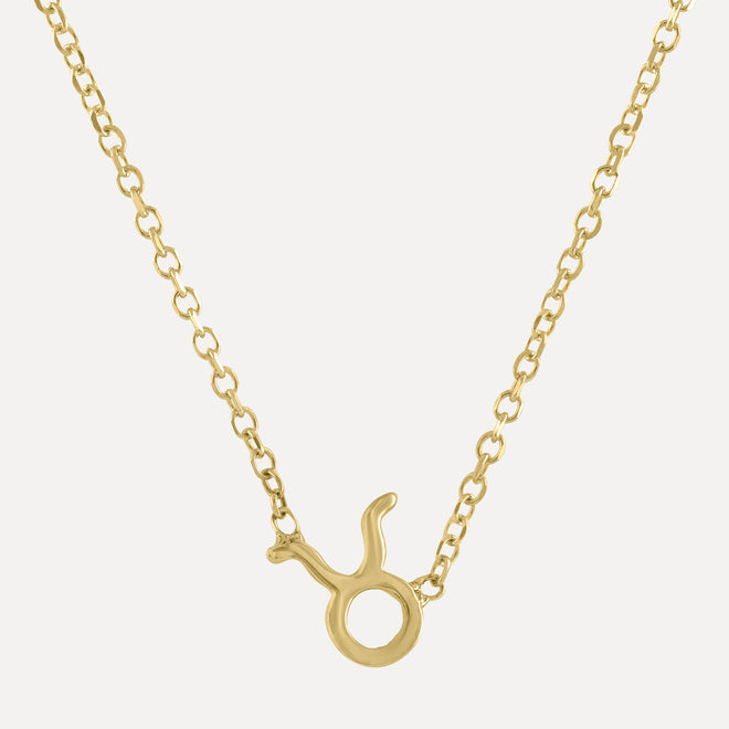 Mini Zodiac Necklace