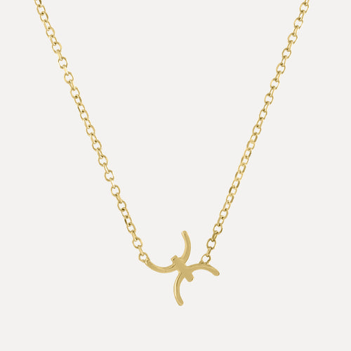 Mini Zodiac Necklace